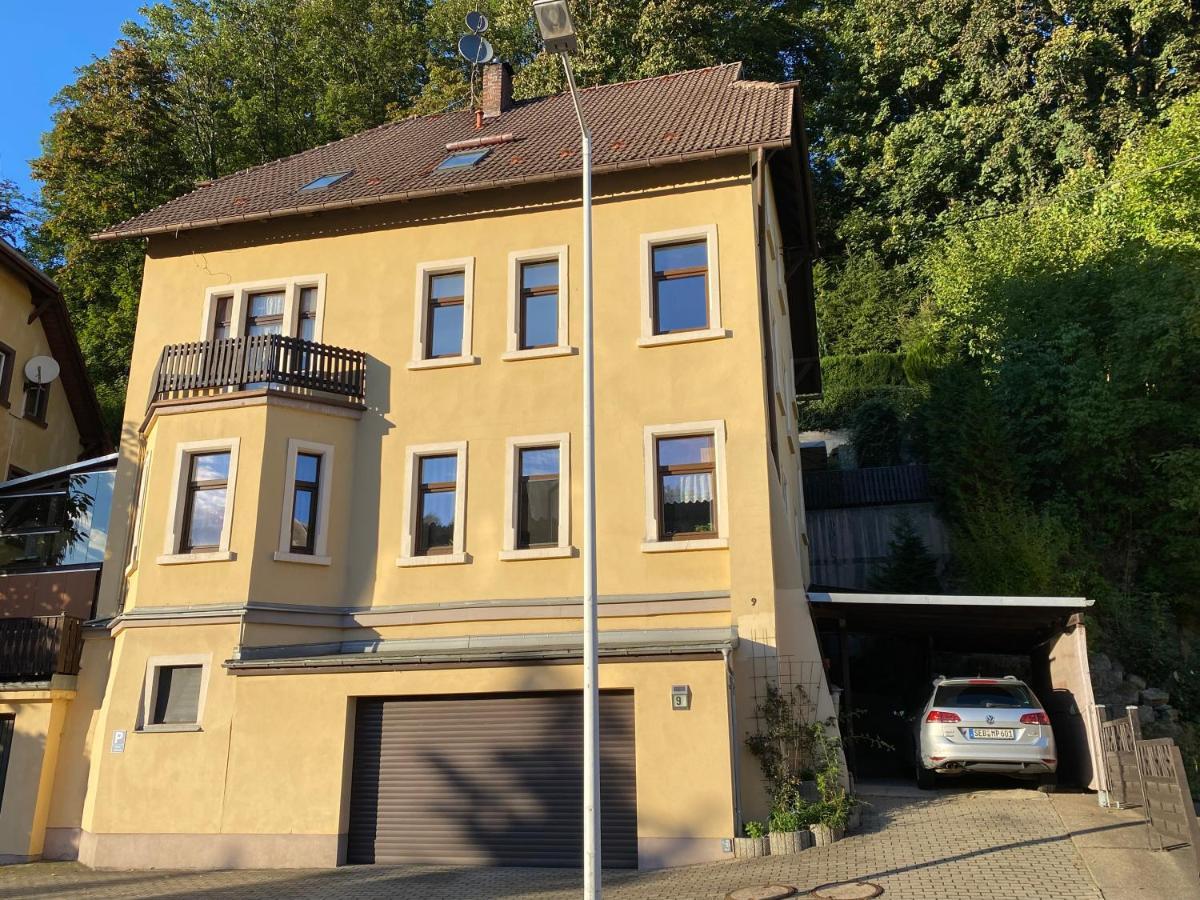 Waldblickwohnung mit Kamin Sebnitz Exterior foto