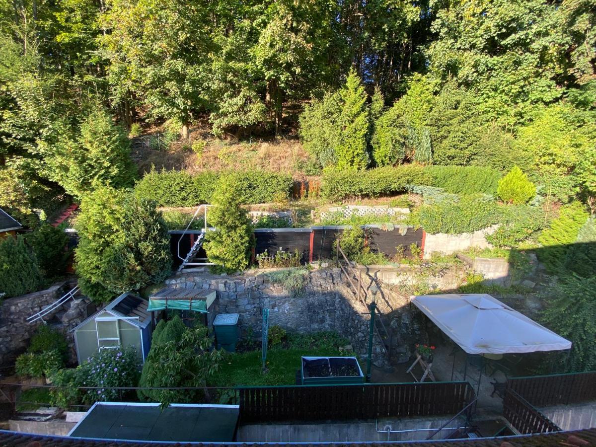 Waldblickwohnung mit Kamin Sebnitz Exterior foto