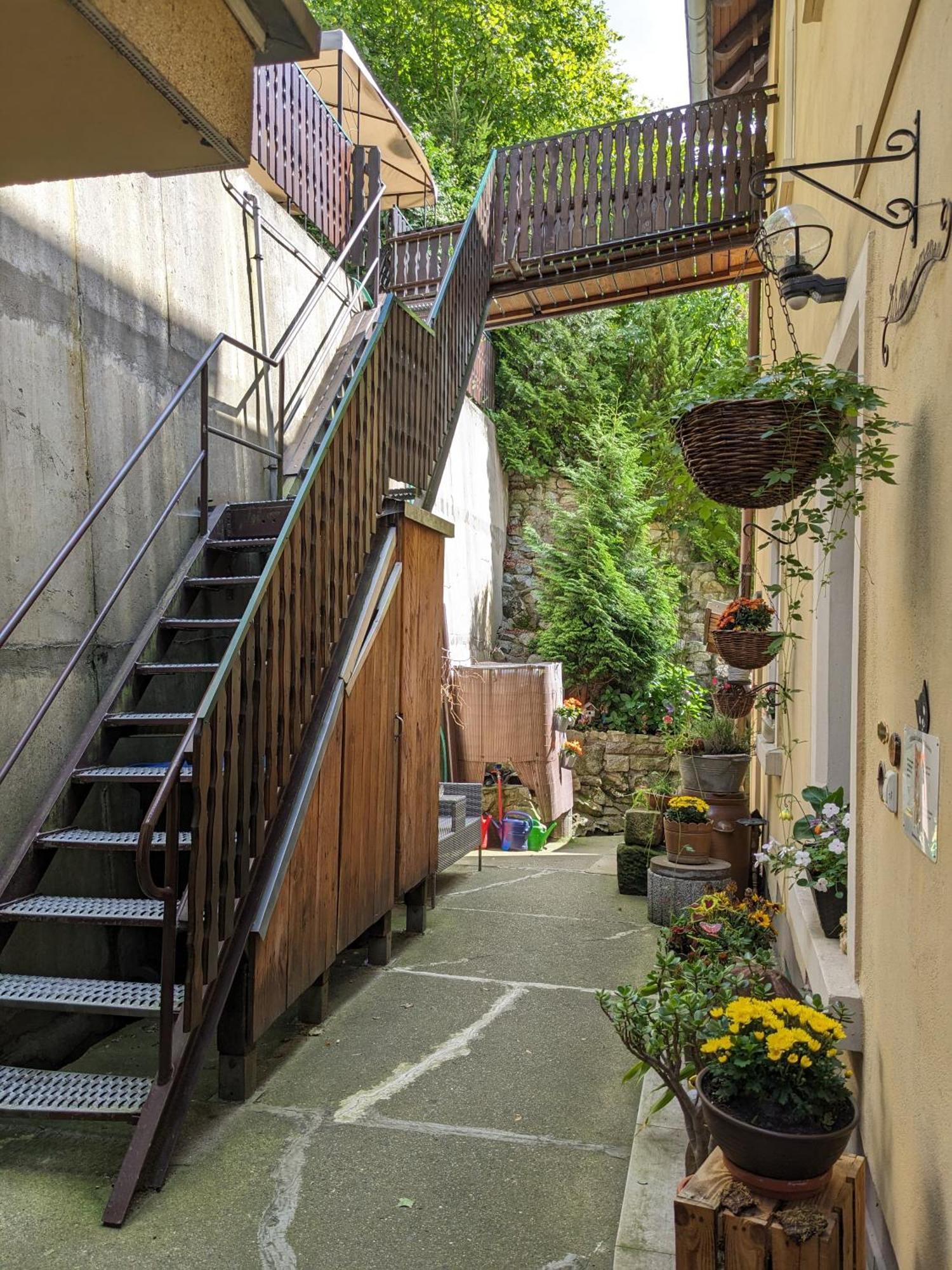 Waldblickwohnung mit Kamin Sebnitz Exterior foto