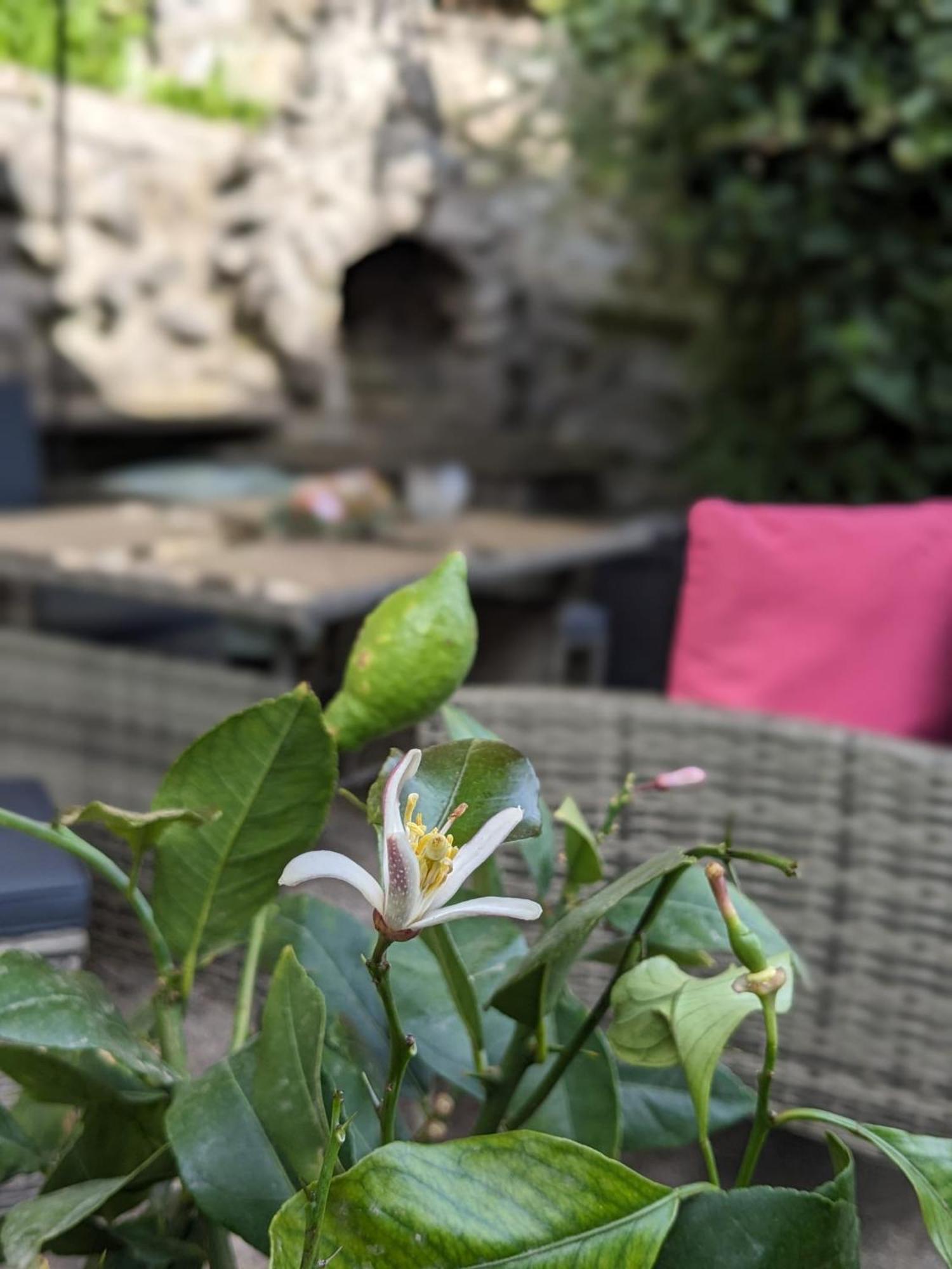 Waldblickwohnung mit Kamin Sebnitz Exterior foto