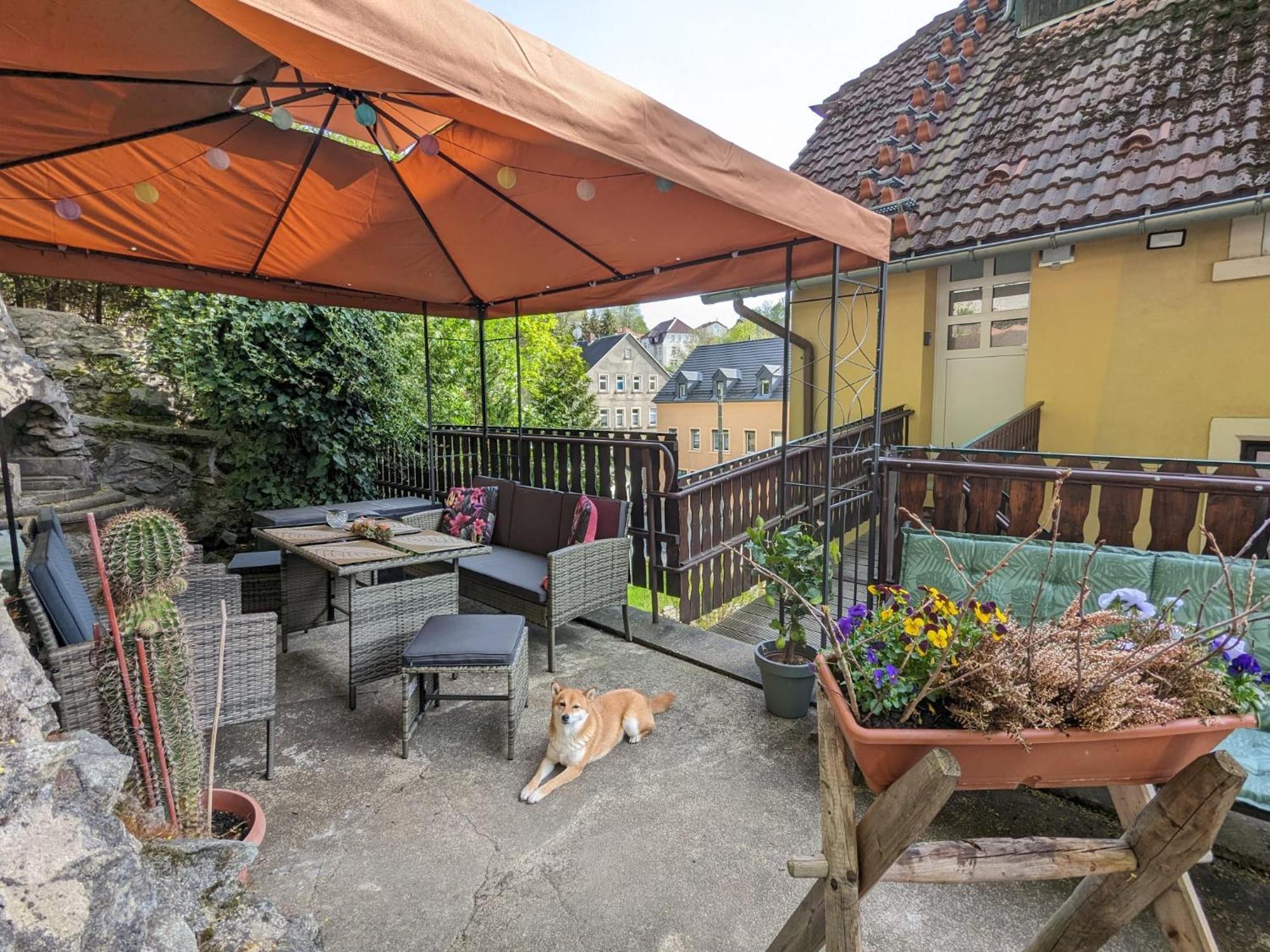 Waldblickwohnung mit Kamin Sebnitz Exterior foto